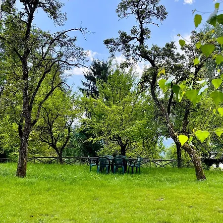 Apartment Garden Dream *