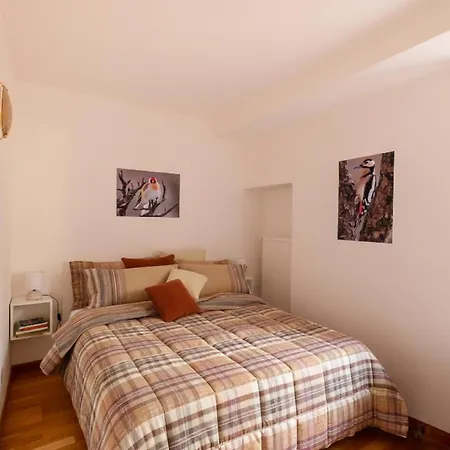 Garden Dream Apartment