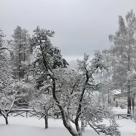 Apartment Garden Dream Valle di Cadore